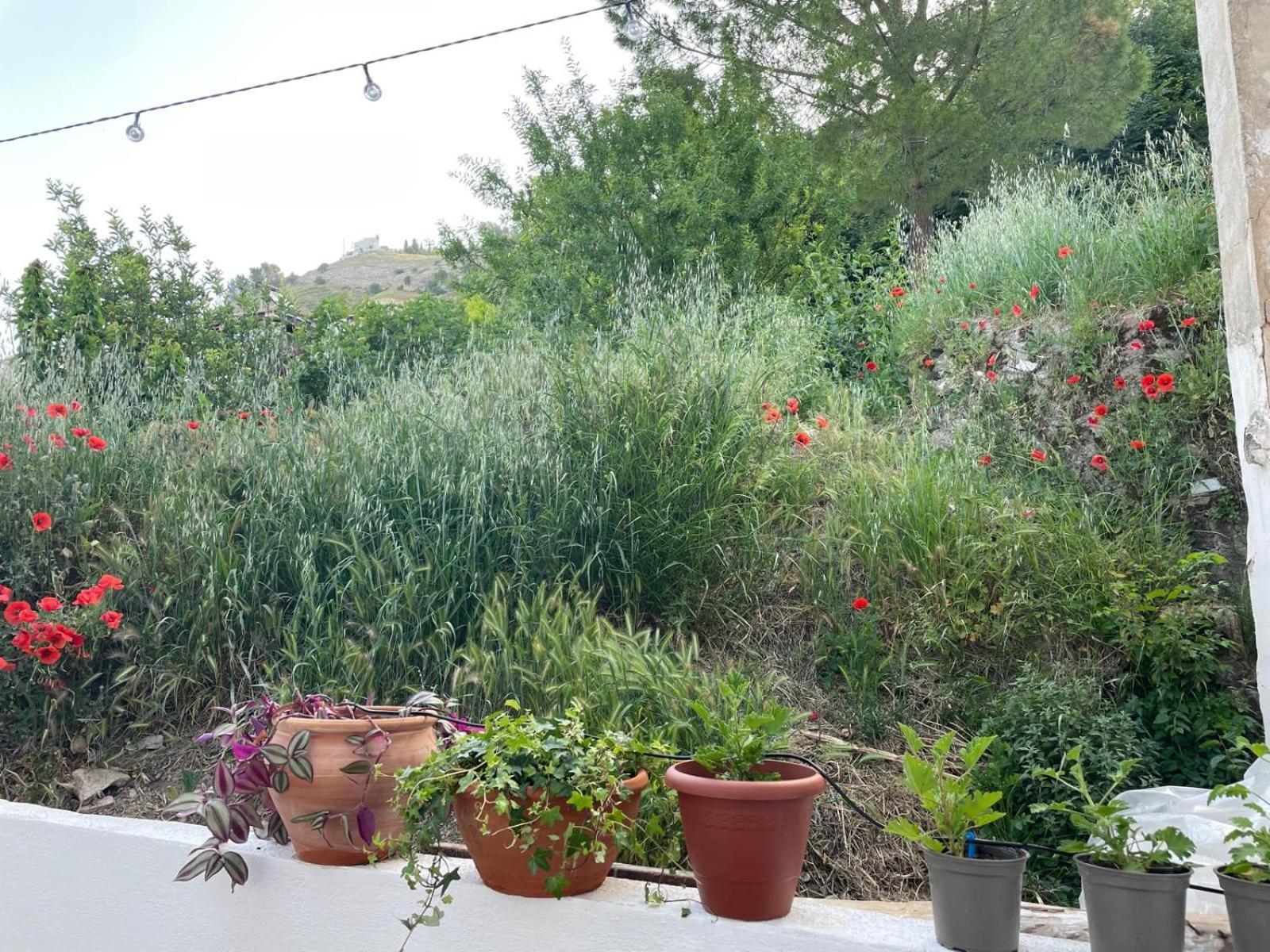 La Casita Azul Villa Cazorla Dış mekan fotoğraf